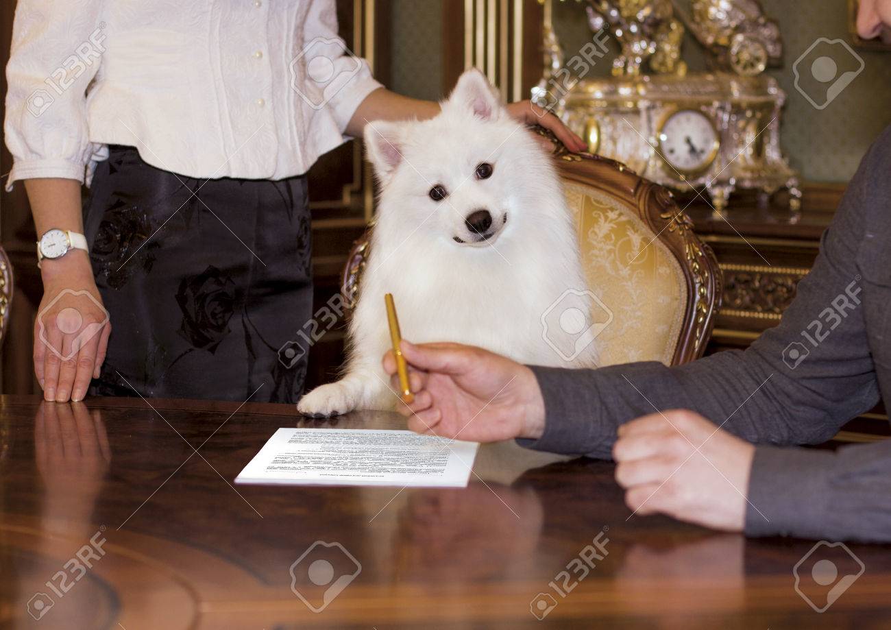 Собака подписывается